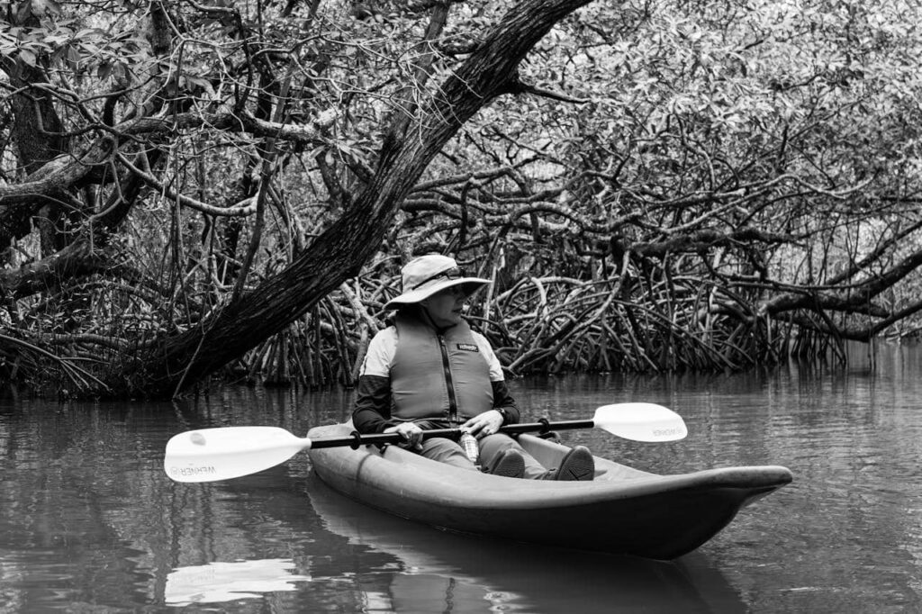 kayaking in mangrove